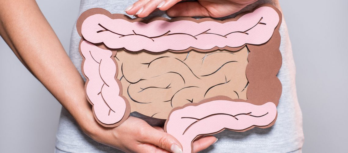 partial view of woman holding paper made large intestine on grey background